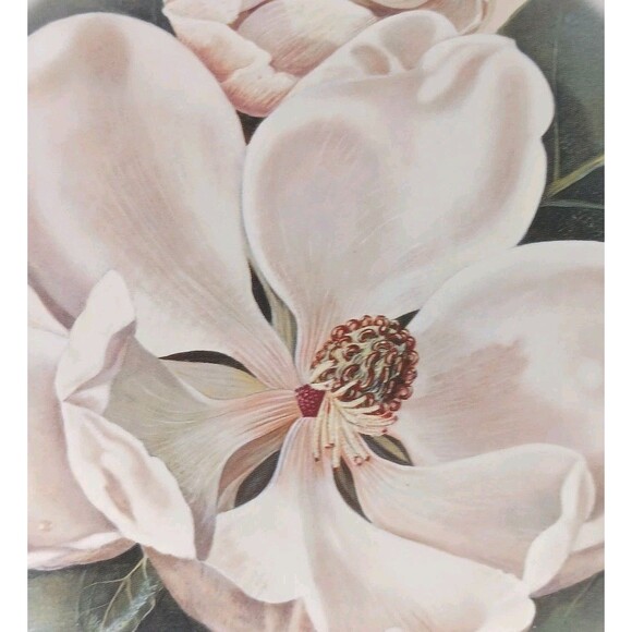 VTG Afternoon Magnolia Print By Waltraud Fuchs von Schwarzbek Matted & Framed - Picture 8 of 16